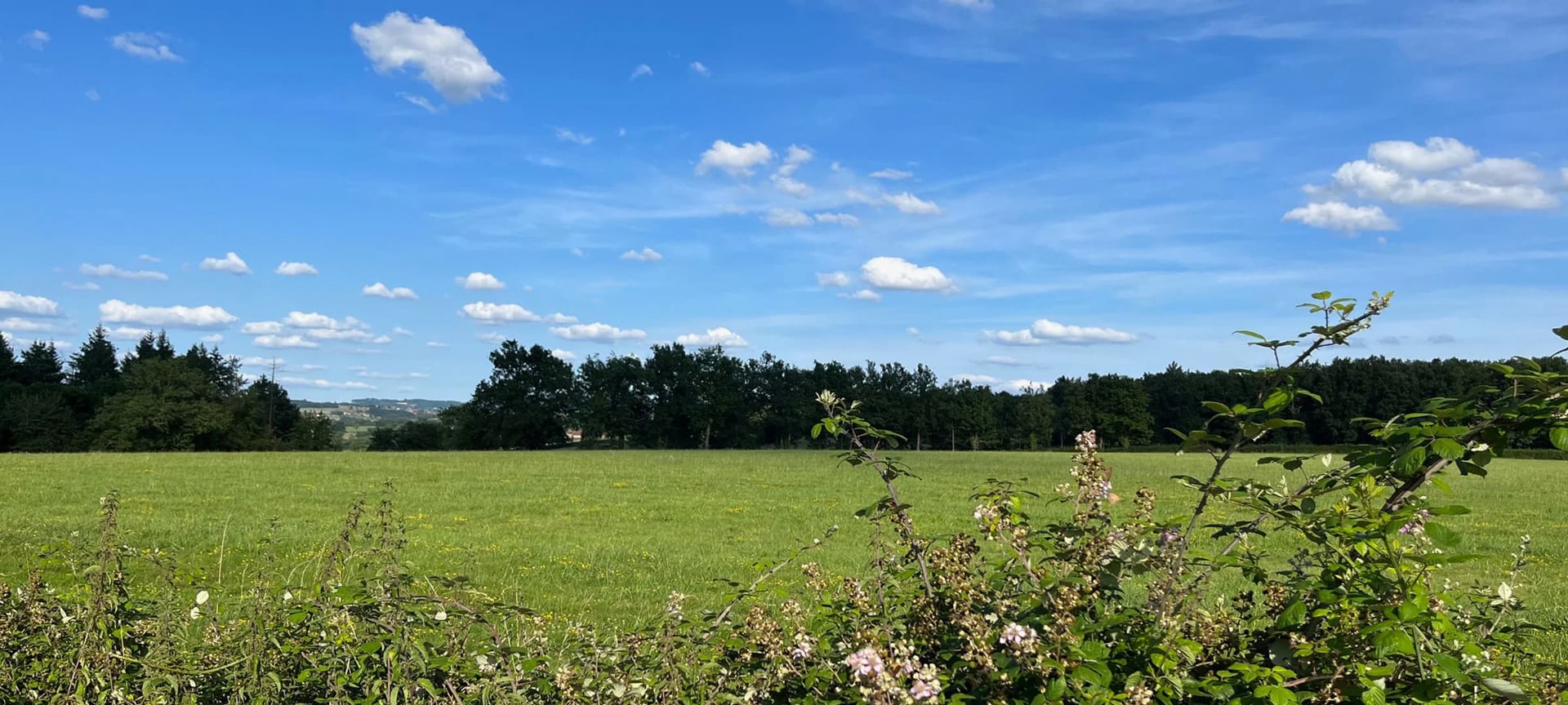Organiser un mariage à la campagne dans la Loire : le guide complet