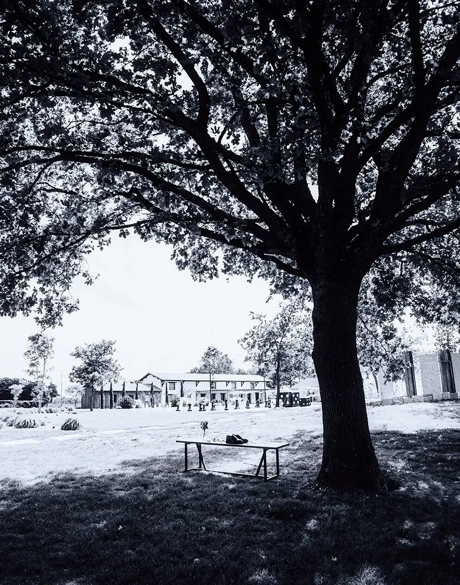 Espace extérieur arboré à La Grange aux Camélias proche de Saint-Etienne 42